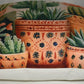 Accent Throw Pillows Potted Cactus Pillow Slip Cover 16" x 16" New *cover Only*