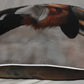 Accent Throw Pillows Fox in Suit Pillow Slip Cover 18" x 18" New **cover Only**