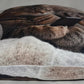 Accent Throw Pillows Cat w Cell Phone Pillow Slip Cover 18x18 New *cover Only*