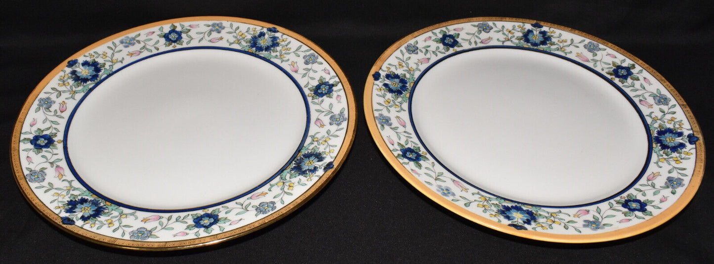 Antique Nippon Porcelain Dinner Plates 10.5" Hand Painted Floral Plates Set of 2