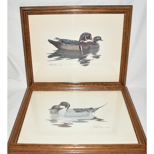 2 Vintage Framed Duck Prints Wood Duck & Pintail Duck Signed Richard Sloan c.1980-1