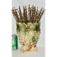 Vintage 1950s McCoy Art Pottery Vase Brown Green Cream Grape & Leaf Jagged Edge Vase
