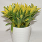 Yellow Faux Potted House Plant 5.5" Garden Plant Flowers in White Ceramic Pot